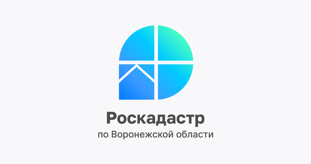 Почти 93% воронежцев предпочитают получать сведения из ГФДЗ в электронном виде.