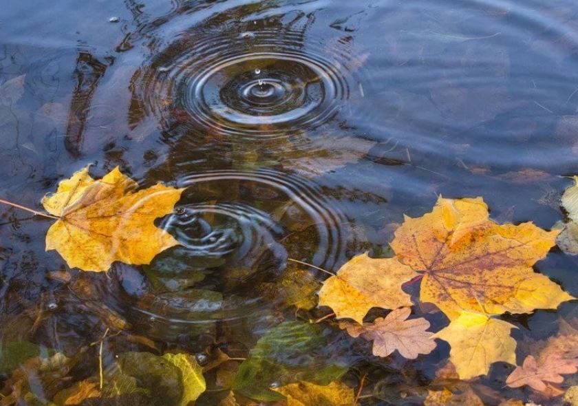 Безопасность на воде осенью.